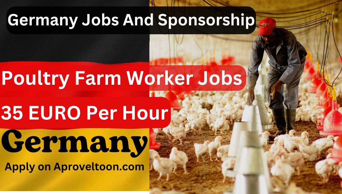 Poultry Farm Worker Jobs In Germany With Visa Sponsorship 2024