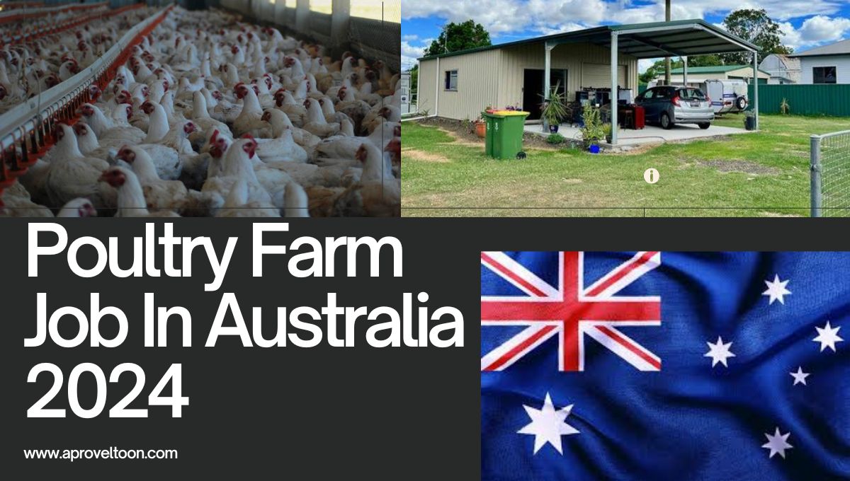 High Paying Poultry Farm Worker Job in Australia 2024