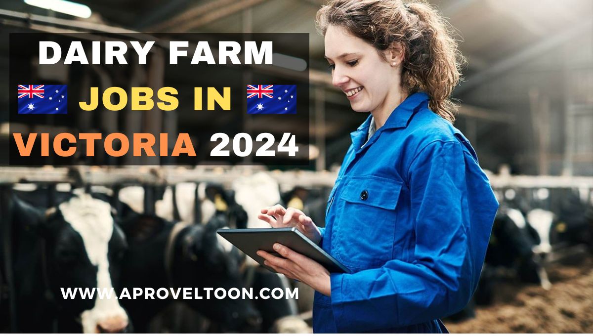 Dairy Farm Jobs in Victoria 2024