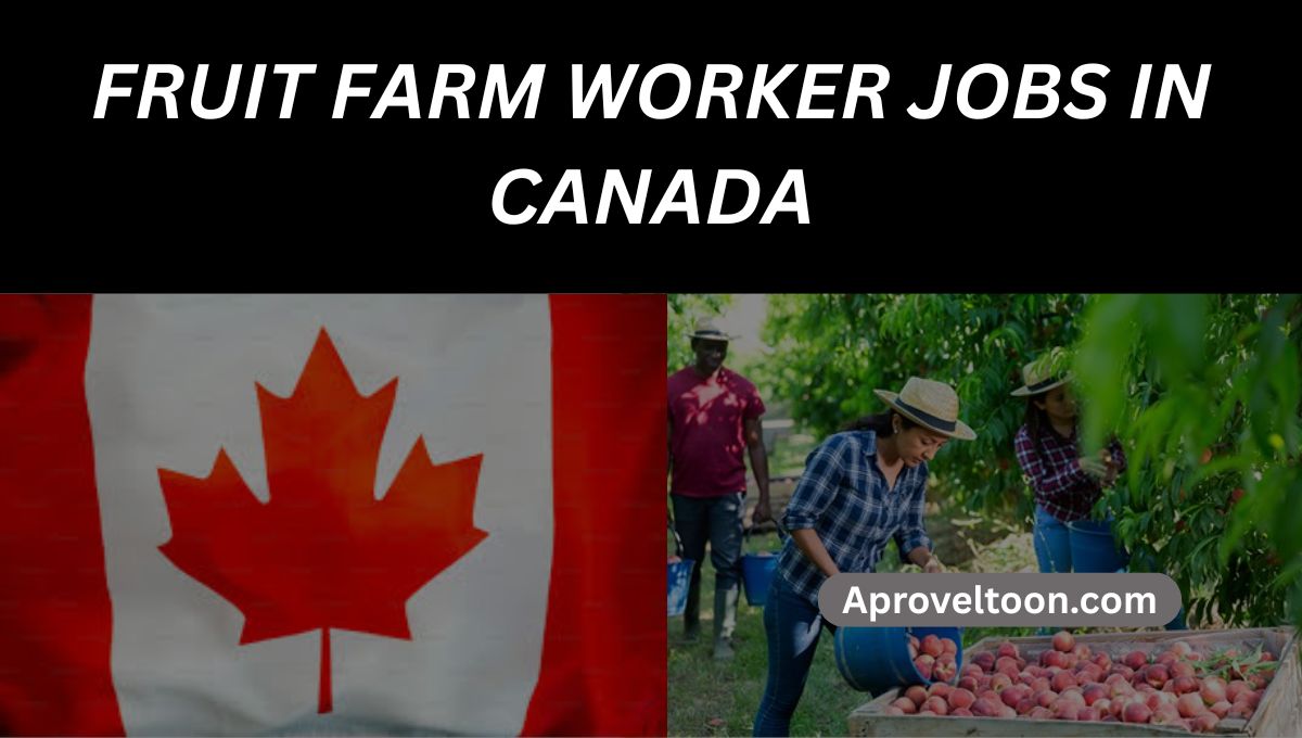 Fruit Farm Worker Jobs in Canada 2025 – Visa Sponsorship Available