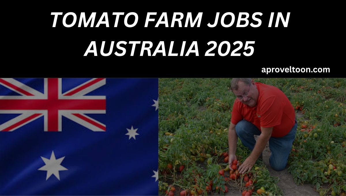 Tomato Farm Jobs in Australia 2025